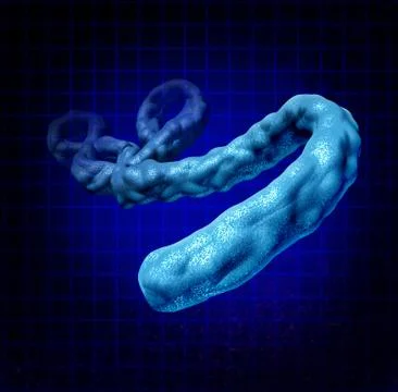 Ebola virus 스톡 일러스트