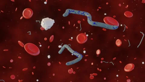 Ebola virus inside of human blood vessel Stock Footage 252107518