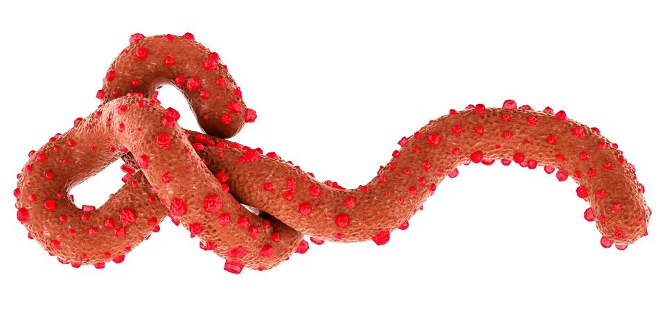 Ebola virus particle. 3D rendering Stock Illustration