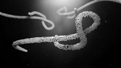Ebola Virus Stock Photos