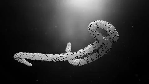 Ebola Virus Stock Photos