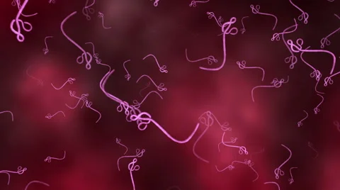 Ebola virus - seamless looping Stock Footage 45500581