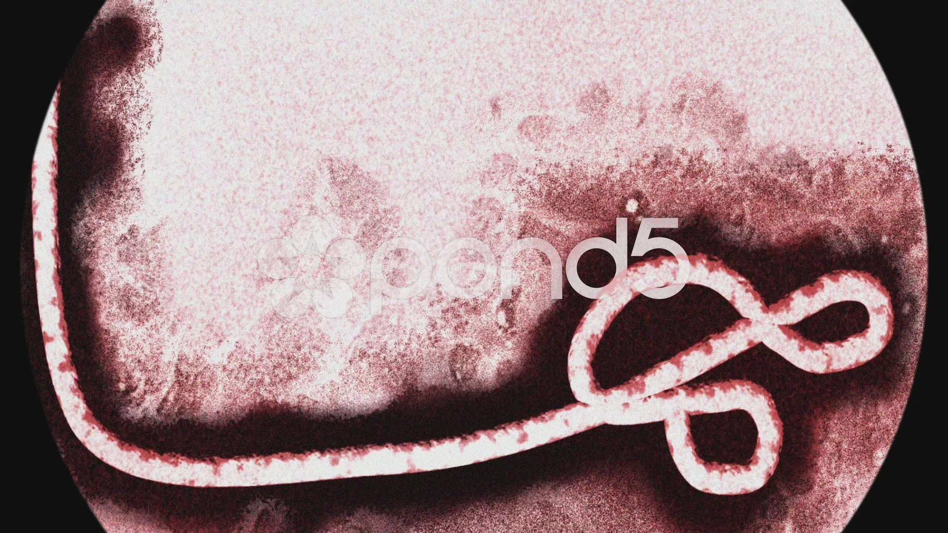 Ebola Virus Under Microscope | Stock Video | Pond5