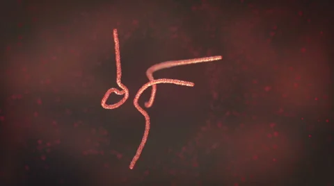 Ebola Virus under a Microscope HD // Medical 3D Visualization Stock Footage 41425093