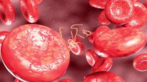 Ebola Virus under a Microscope HD // Medical 3D Visualization Stock Footage 42766113