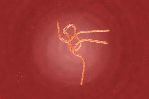 Ebola Virus under a Microscope HighRes // Medical 3D Visualization Stock Illustration