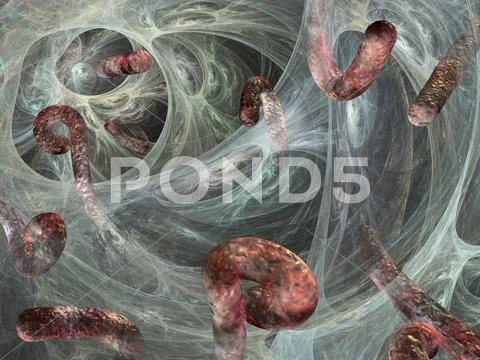 Ebola viruses, artwork Stock Illustration