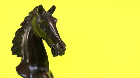 Ebony Horse Bust Stock Footage 92447893