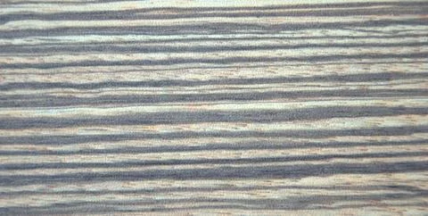 Ebony, natural striped pattern texture on cut. Close shot up. Stock Photos