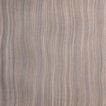 Ebony wood texture, tree background Stock Photos