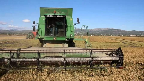 EBRO DELTA, SPAIN - october 13, 2020: harvest rice in Catalonia (northern Spa Stock Footage 158020019