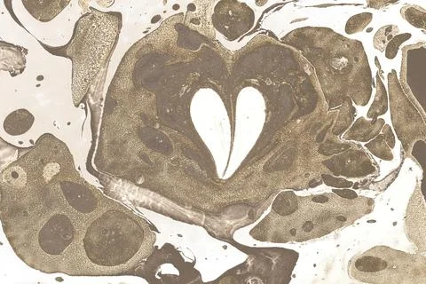 Ebru marble conch effect surface pattern design for print Illustrazione stock