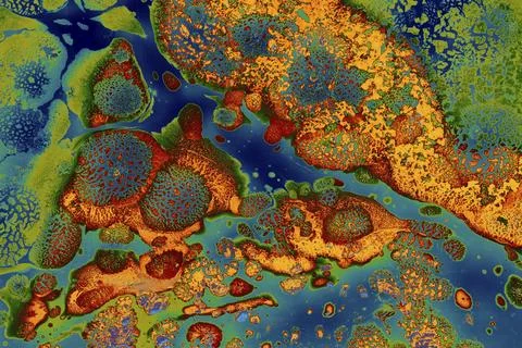 Ebru marble conch effect surface pattern design for print 스톡 일러스트