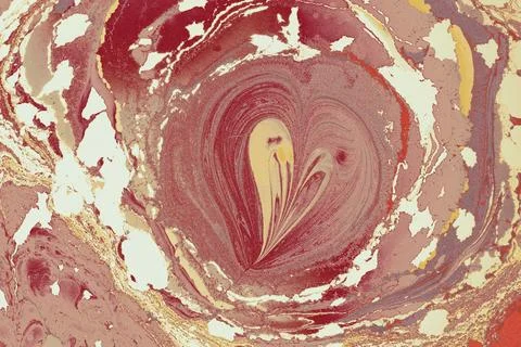 Ebru marble conch effect surface pattern design for print Illustrazione stock