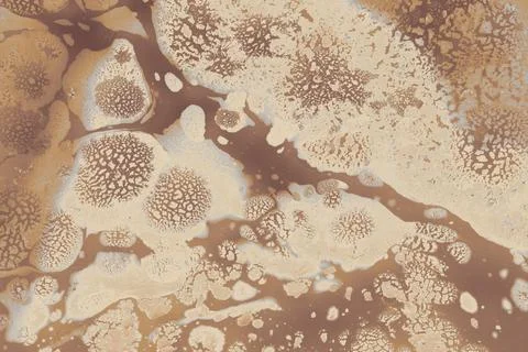 Ebru marble conch effect surface pattern design for print Stock Photos
