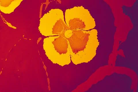 Ebru marble effect with floral pattern design for print Stock Illustration