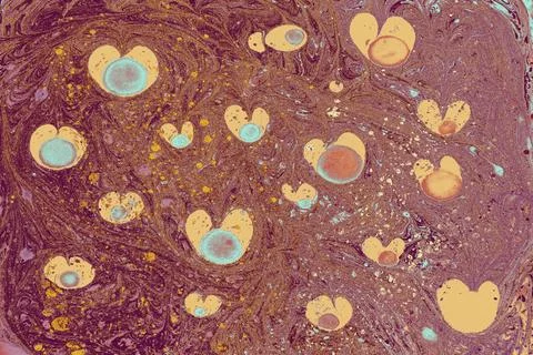 Ebru marble effect pattern design for print Illustrazione stock