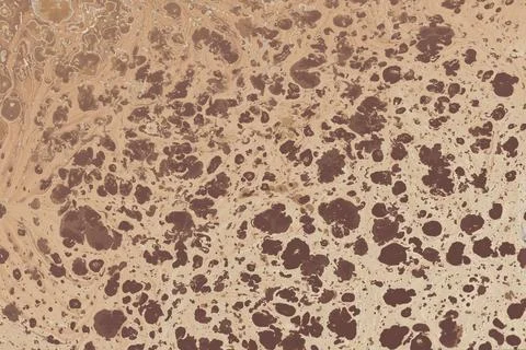 Ebru marble effect surface pattern design for print Stock Illustration