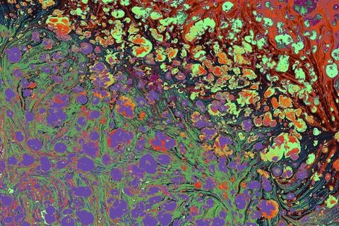 Ebru marble effect surface pattern design for print Stock Illustration