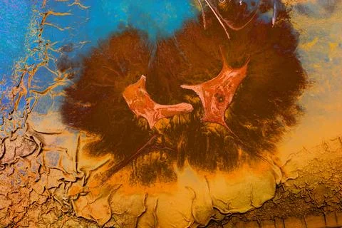 Ebru marbling effect surface pattern design for print Illustrazione stock