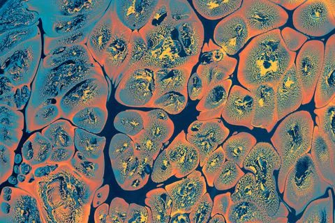 Ebru marbling effect surface pattern design for print Stock Illustration