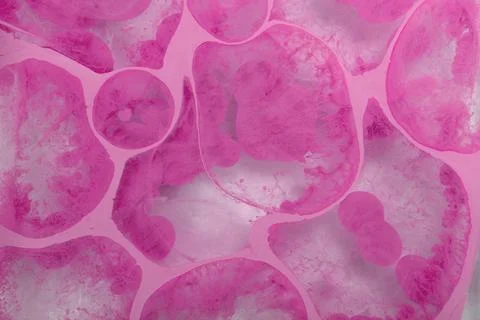 Ebru marbling effect surface pattern design for print Illustrazione stock