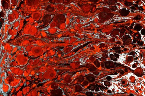 Ebru marbling effect surface pattern design for print Stock Illustration