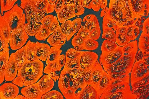 Ebru marbling effect surface pattern design for print Illustrazione stock