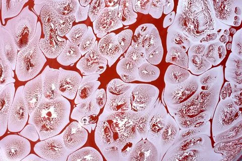 Ebru marbling effect surface pattern design for print Foto stock