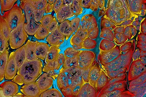 Ebru marbling effect surface pattern design for print Foto stock