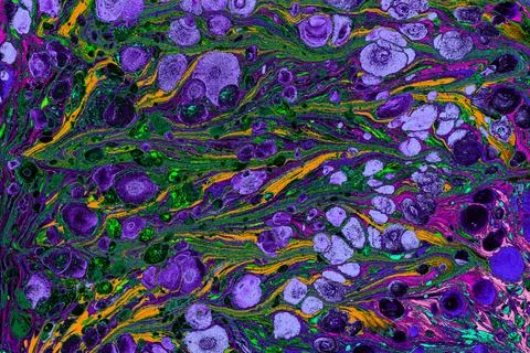 Ebru marbling effect surface pattern design for print Foto stock