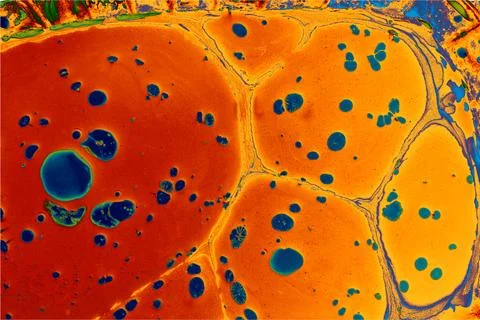 Ebru marbling effect surface pattern design for print Foto stock