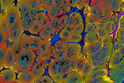 Ebru marbling effect surface pattern design for print Stock Photos