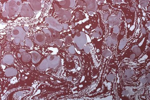 Ebru  marbling texture handmade wave background. Unique art  Liquid marbling  Stock Illustration