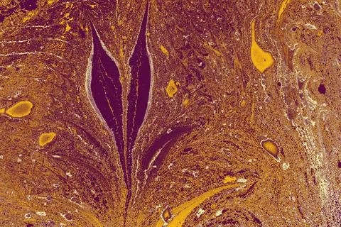 Ebru technique texture with petal-like elements in brown and purple colors Illustrazione stock