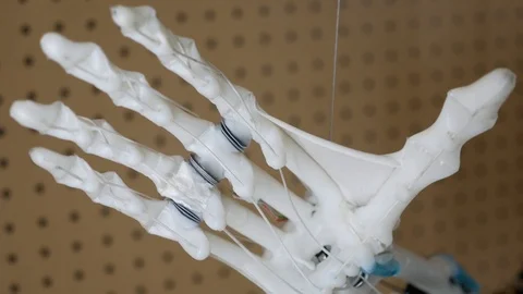 ECCEROBOT Design Study (EDS) at Exhibition Science Museum Stock Footage 116680287