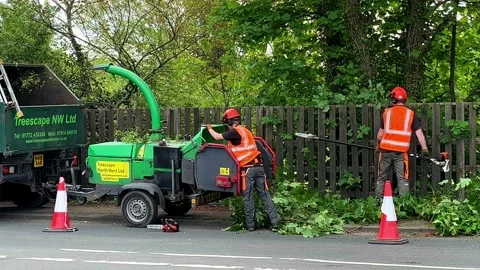 Eccleston, UK 7 May 2024: Roadside tree surgeons removing excess foliage. Stock Footage 274542536