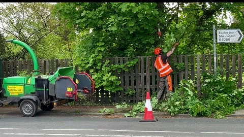 Eccleston, UK 7 May 2024: Roadside tree surgeons removing excess foliage. Stock Footage 274542537
