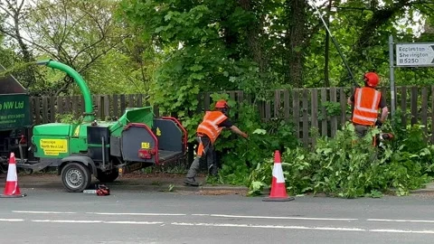 Eccleston, UK 7 May 2024: Roadside tree surgeons removing excess foliage. Stock Footage 274542538