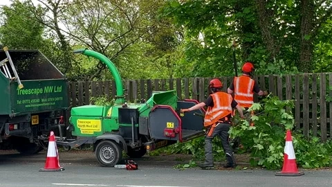 Eccleston, UK 7 May 2024: Roadside tree surgeons removing excess foliage. Stock Footage 274542541