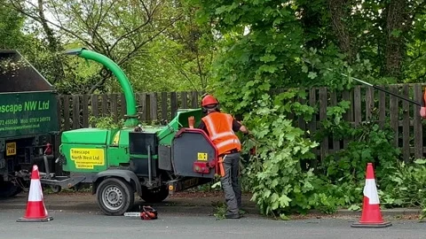 Eccleston, UK 7 May 2024: Roadside tree surgeons removing excess foliage. Stock Footage 274542548