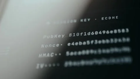 ECDHE session key panel with rapidly cycling hex data Stock Footage 331571767