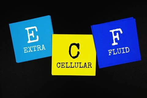 ECF - Extracellular fluid acronym text on sticky note on black background Stock Photos