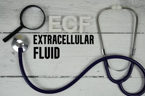 ECF Extracellular Fluid text with Stethoscope on wooden background Stockfoto's