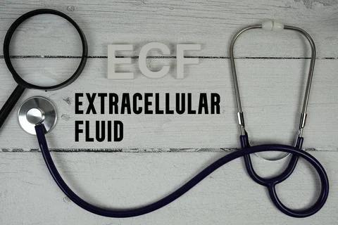 ECF Extracellular Fluid text with Stethoscope on wooden background Stock Photos