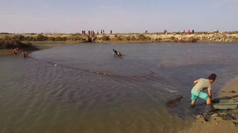 Echando la red en esteros de Cádiz Video stock 153439448