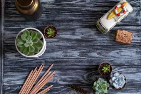 Echeveria Stock Photos
