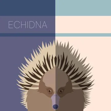 Echidna Flat Postcard Stock Illustration