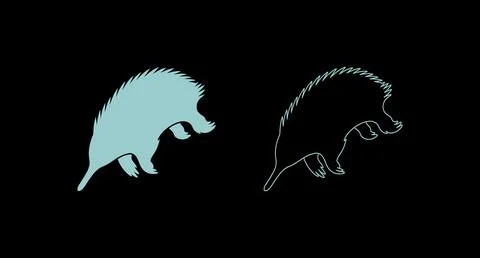 Echidna illustration presented in solid color and outline styles with wildlif Stock Illustration
