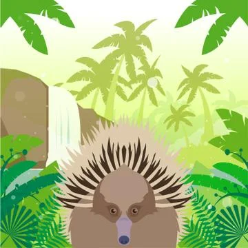 Echidna on the Jungle Background Stock Illustration